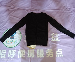 女式V领毛衫